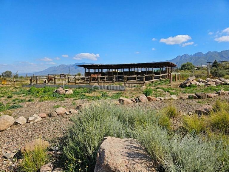 Lote en Venta en Lujan de Cuyo, Mendoza