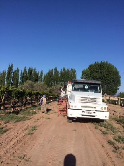 Finca en Venta en Lavalle, Mendoza
