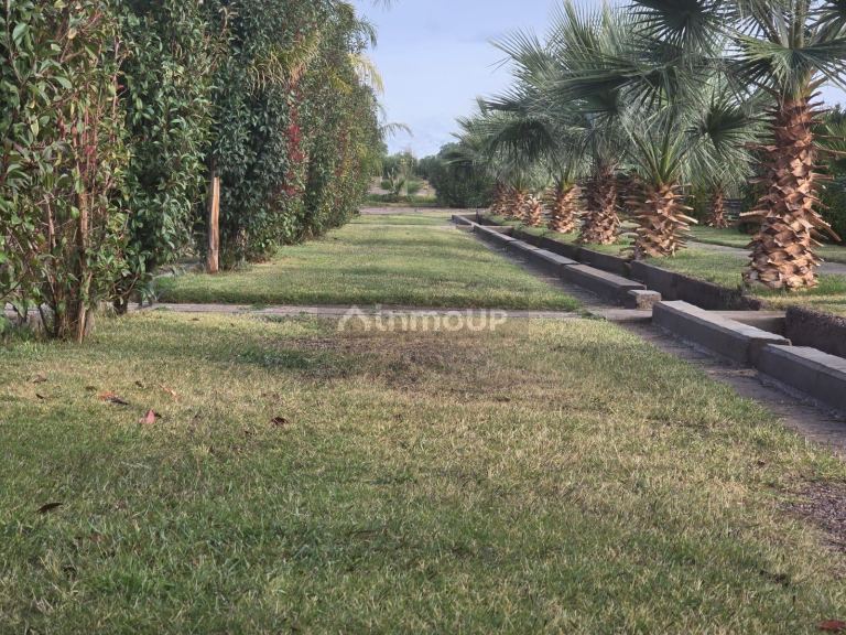 Lote en Venta en Maipu, Mendoza