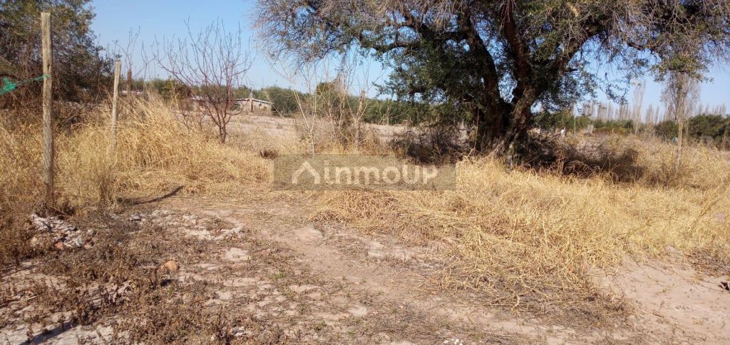Lote en Venta en Maipu, Mendoza
