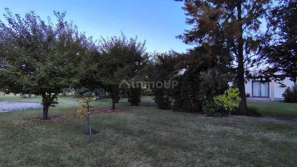 Lote en Venta en Lujan de Cuyo, Mendoza
