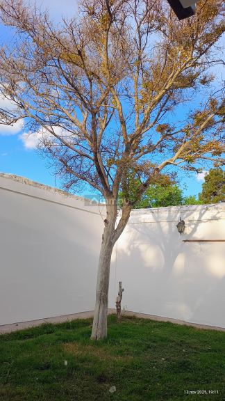 Casa en Alquiler en Godoy Cruz, Mendoza