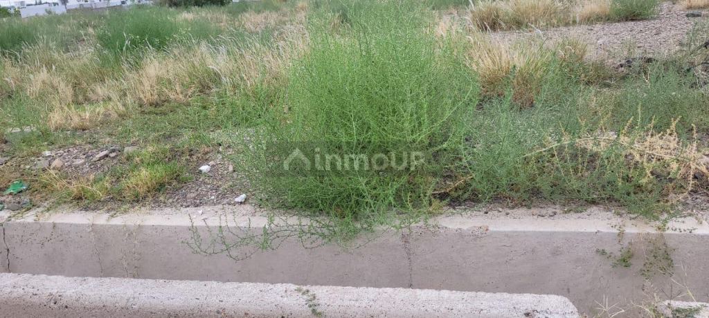 Lote en Venta en Las Heras, Mendoza