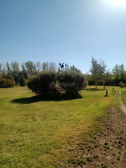 Quinta en Venta en San Rafael, Mendoza