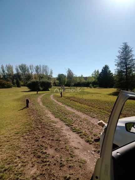 Quinta en Venta en San Rafael, Mendoza