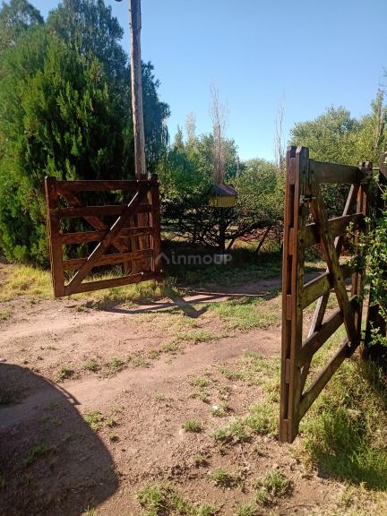 Quinta en Venta en San Rafael, Mendoza