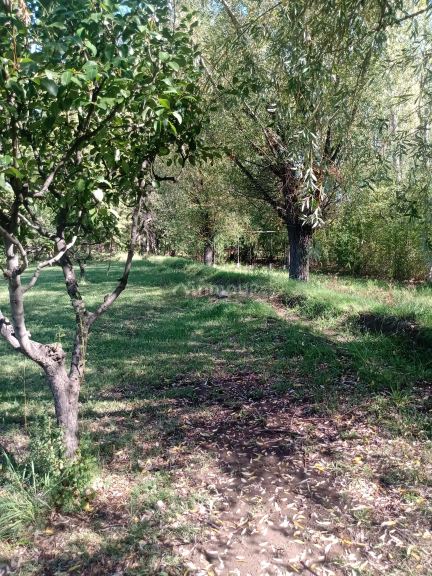Quinta en Venta en San Rafael, Mendoza