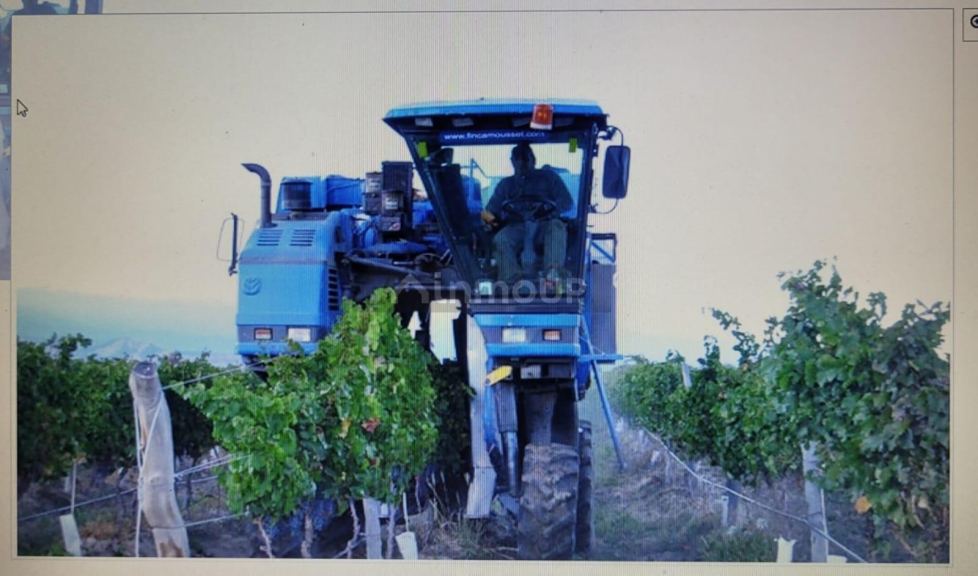 Finca en Venta en Lavalle, Mendoza