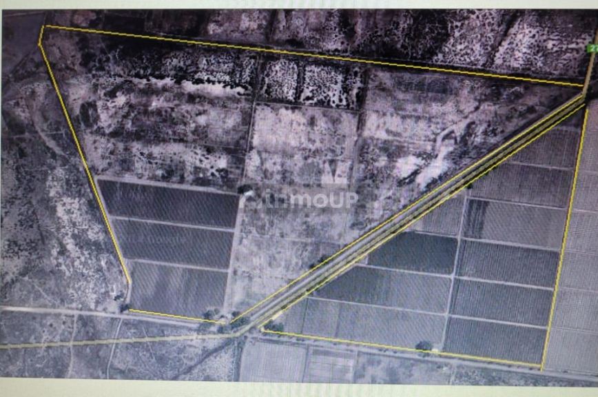 Finca en Venta en Lavalle, Mendoza