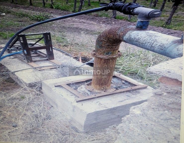 Finca en Venta en Lavalle, Mendoza