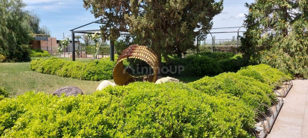 Bodega en Venta en Maipu, Mendoza