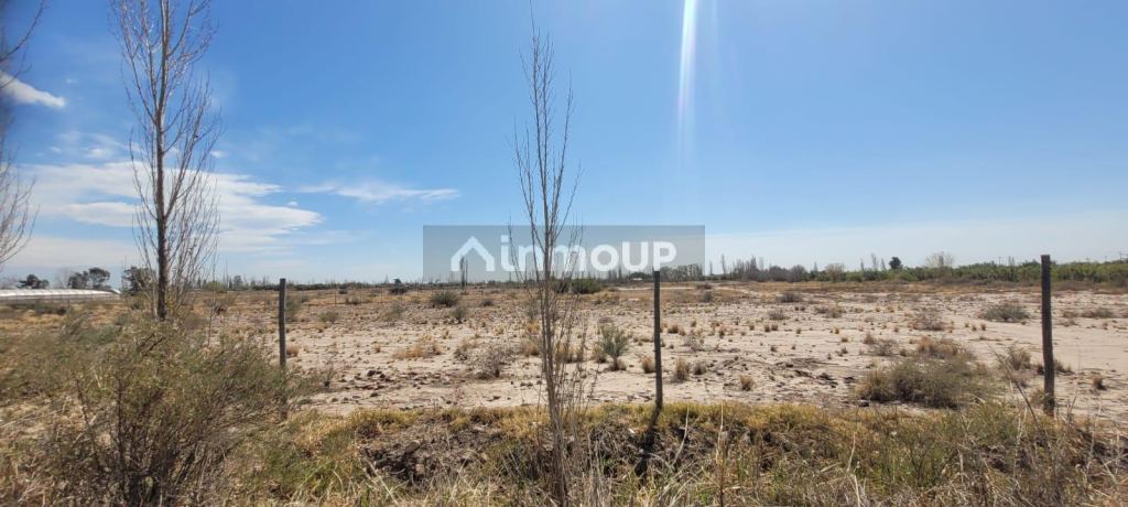 Terreno en Venta en Maipu, Mendoza