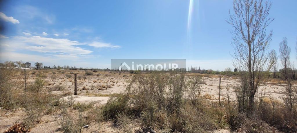 Terreno en Venta en Maipu, Mendoza