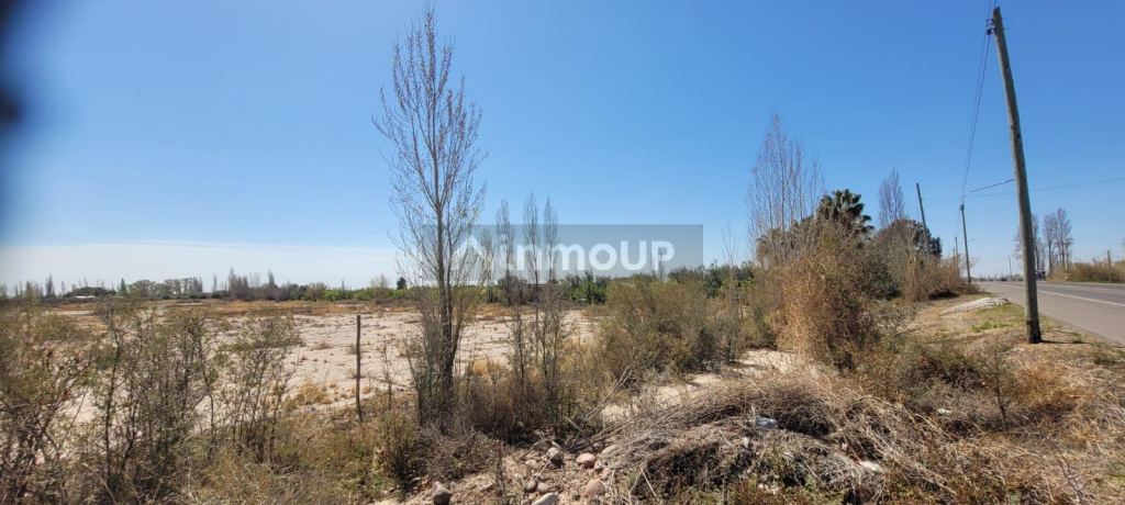 Terreno en Venta en Maipu, Mendoza