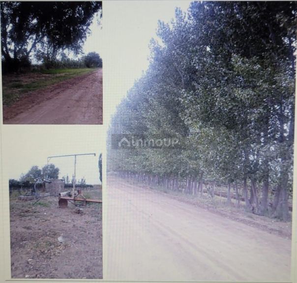 Finca en Permuta en Lavalle, Mendoza