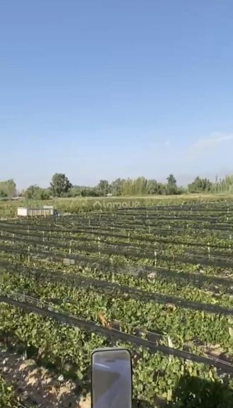 Finca en Venta en Las Heras, Mendoza