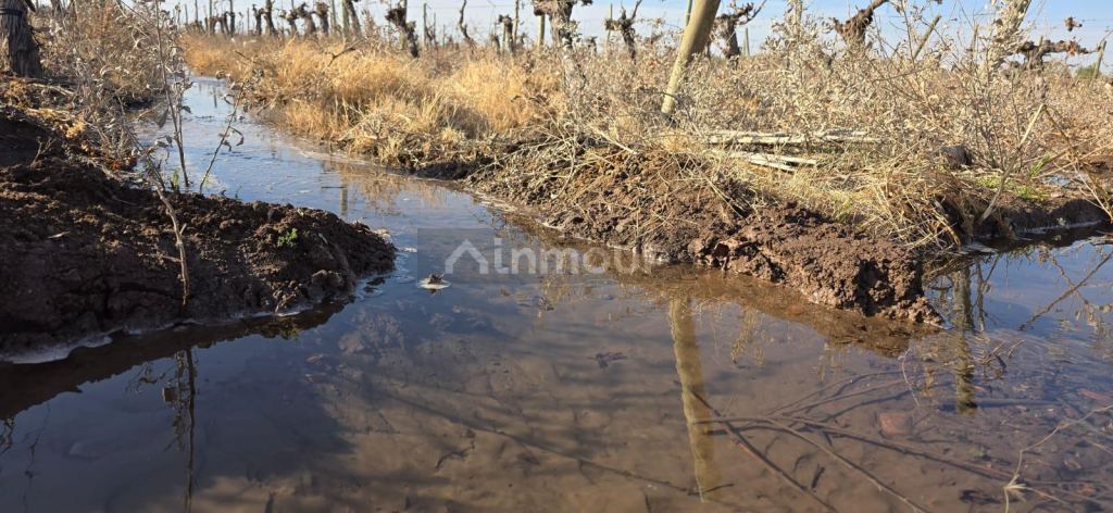 Finca en Venta en Las Heras, Mendoza