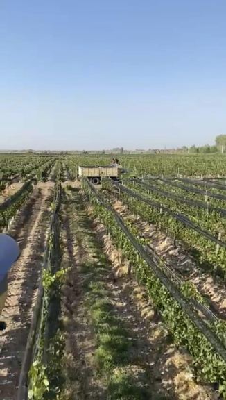 Finca en Venta en Las Heras, Mendoza