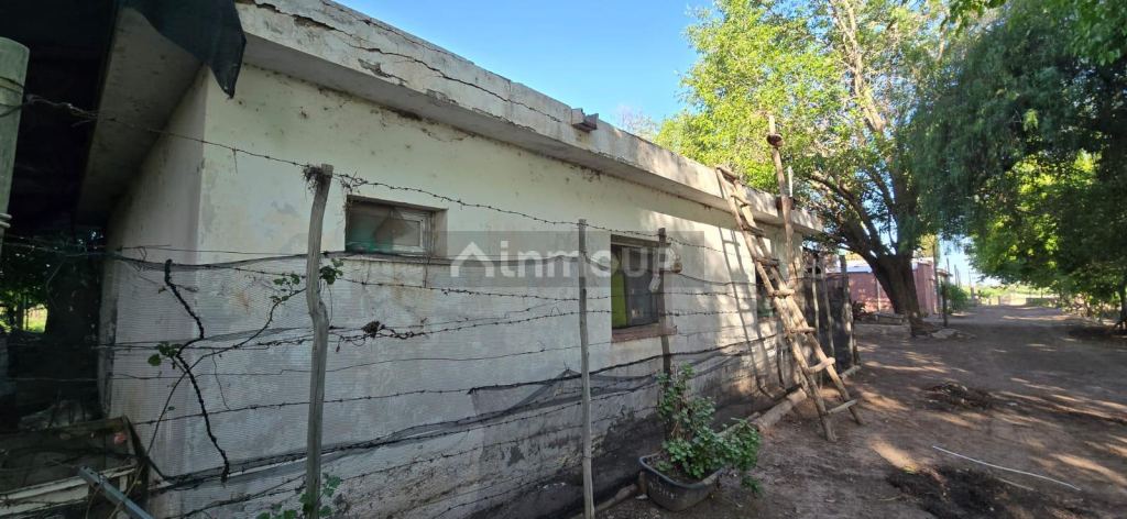 Finca en Venta en Junin, Mendoza