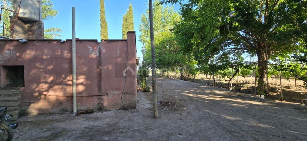 Finca en Venta en Junin, Mendoza