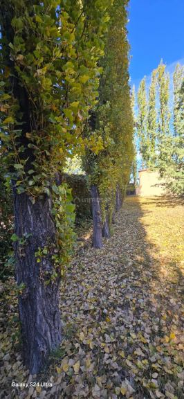 Hotel en Venta en San Rafael, Mendoza