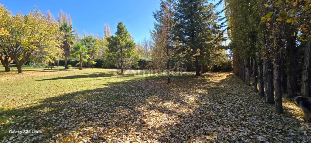 Quinta en Venta en San Rafael, Mendoza