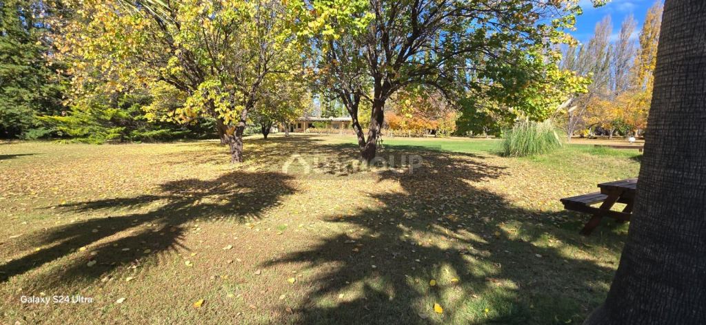 Quinta en Venta en San Rafael, Mendoza