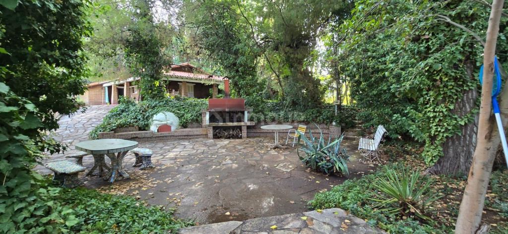 Finca en Venta en Lujan de Cuyo, Mendoza