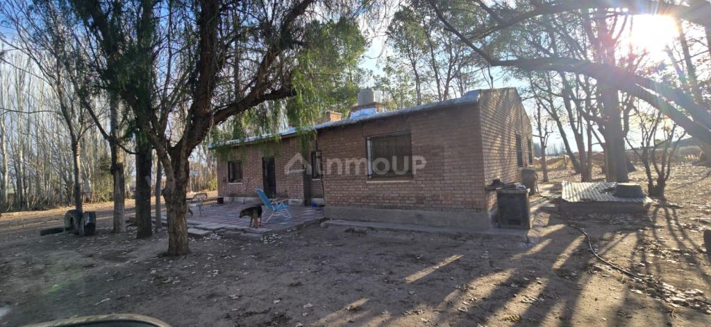 Finca en Venta en Lujan de Cuyo, Mendoza