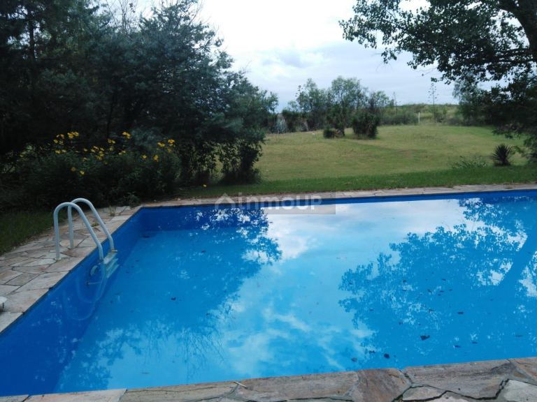 Finca en Venta en Lujan de Cuyo, Mendoza