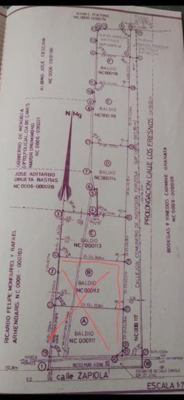 Lote en Venta en Lujan de Cuyo, Mendoza