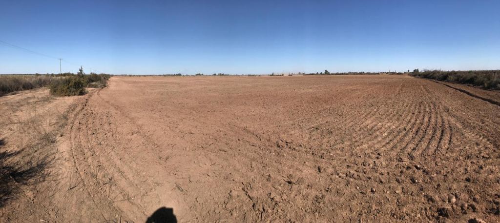 Finca en Venta en Lavalle, Mendoza