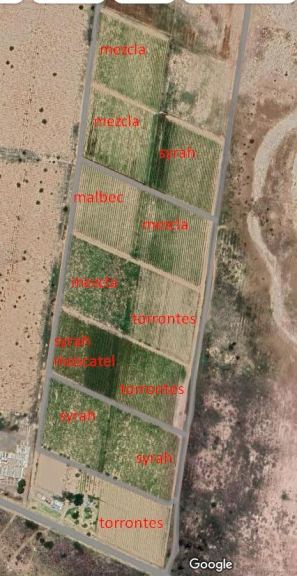 Finca en Venta en Lavalle, Mendoza