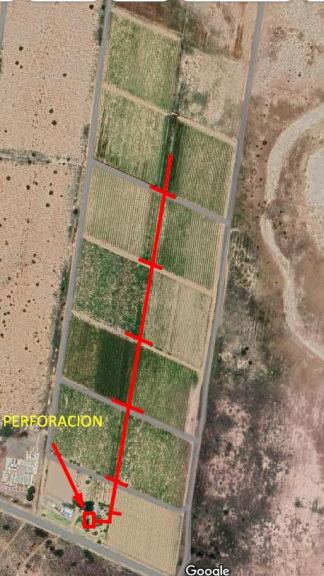 Finca en Venta en Lavalle, Mendoza