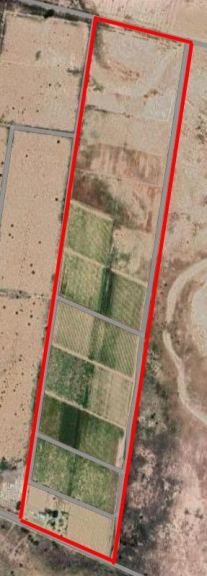 Finca en Venta en Lavalle, Mendoza