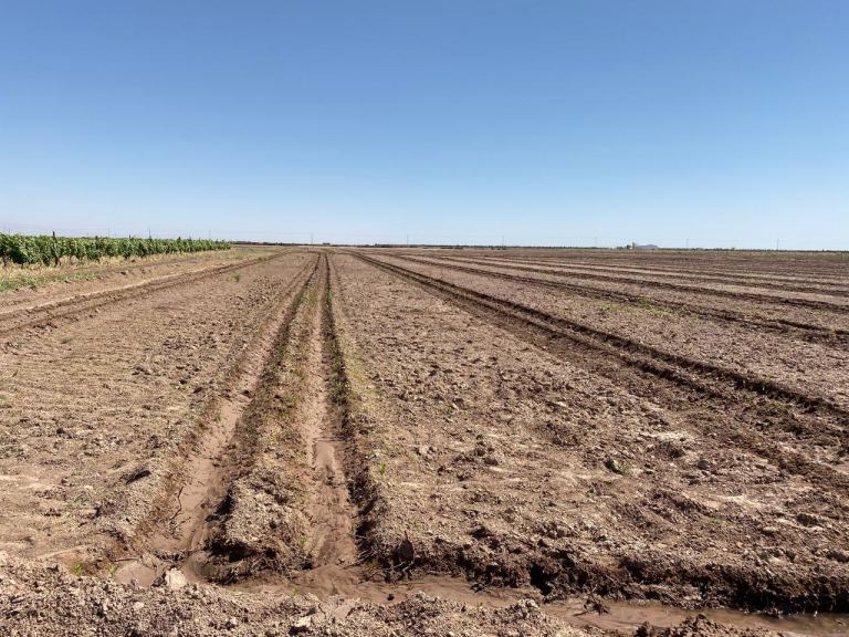 Finca en Venta en Lavalle, Mendoza