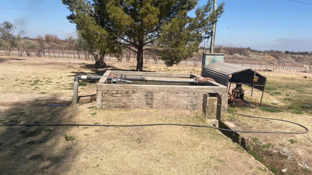 Finca en Venta en Lavalle, Mendoza