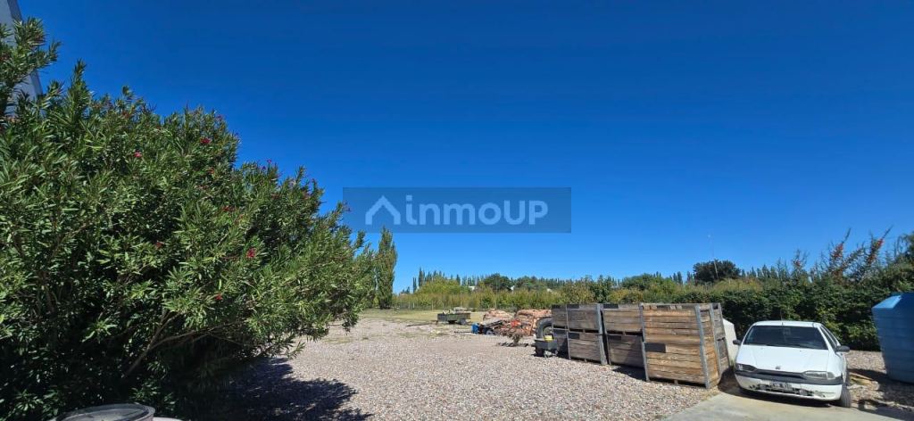 Bodega en Venta en San Rafael, Mendoza