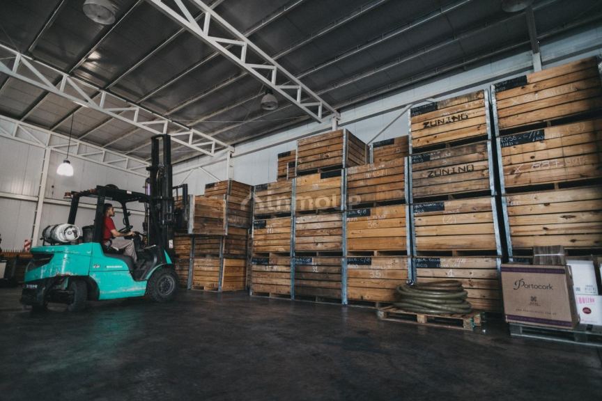 Bodega en Venta en San Rafael, Mendoza