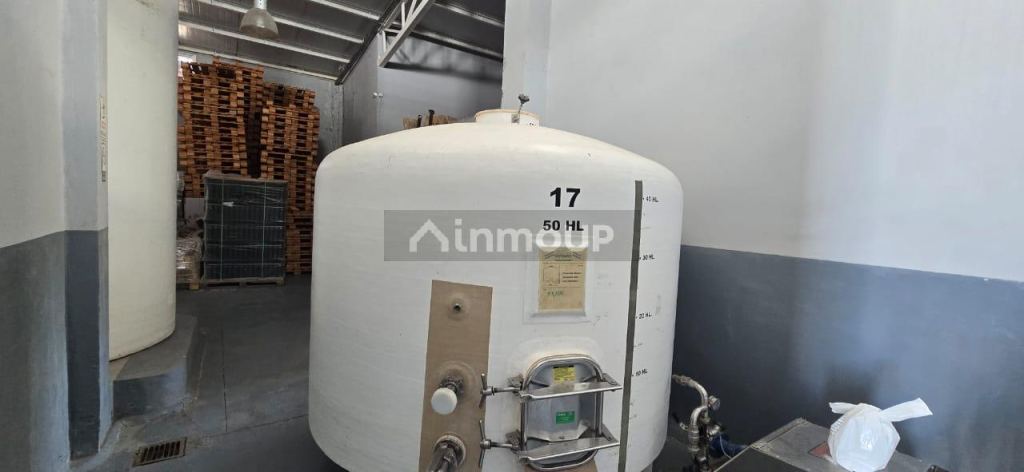 Bodega en Venta en San Rafael, Mendoza