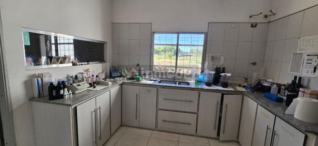 Bodega en Venta en San Rafael, Mendoza