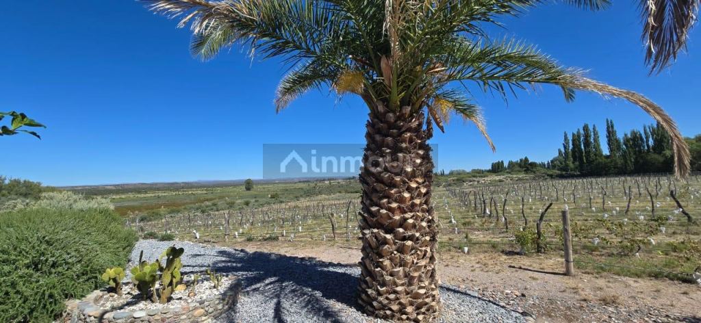 Finca en Venta en San Rafael, Mendoza