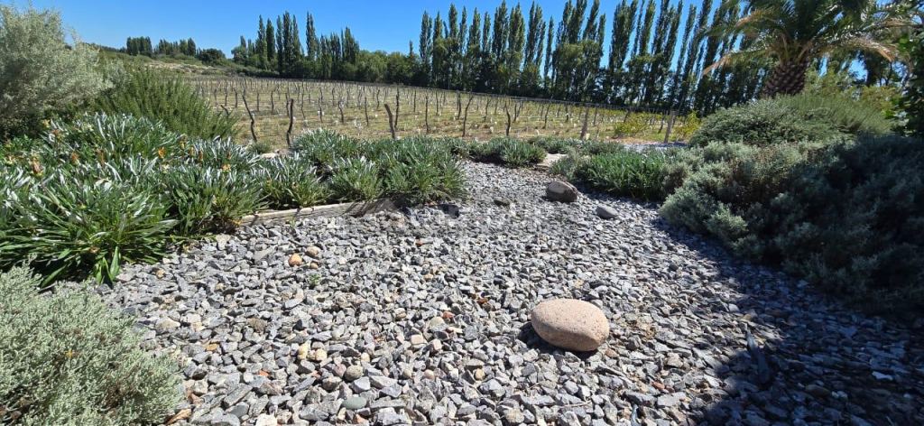 Finca en Venta en San Rafael, Mendoza