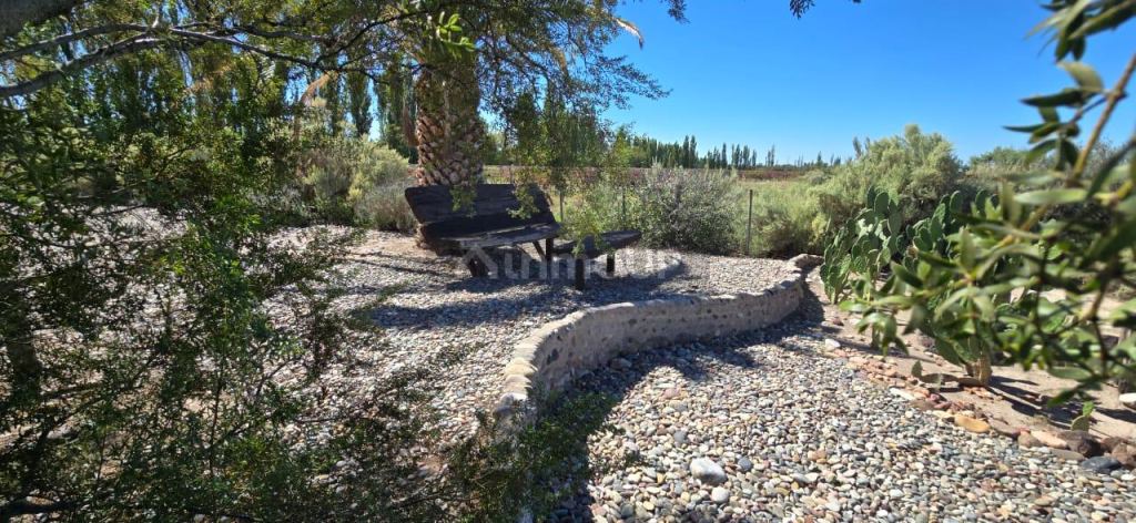 Finca en Venta en San Rafael, Mendoza