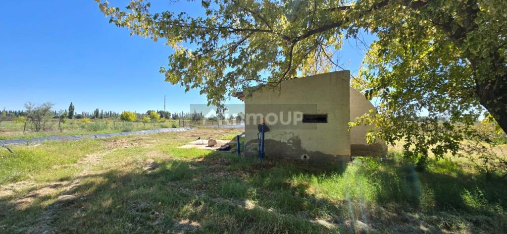 Finca en Venta en San Rafael, Mendoza