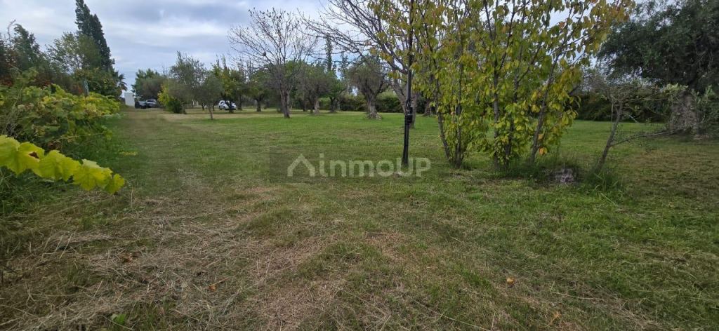 Finca en Venta en Maipu, Mendoza