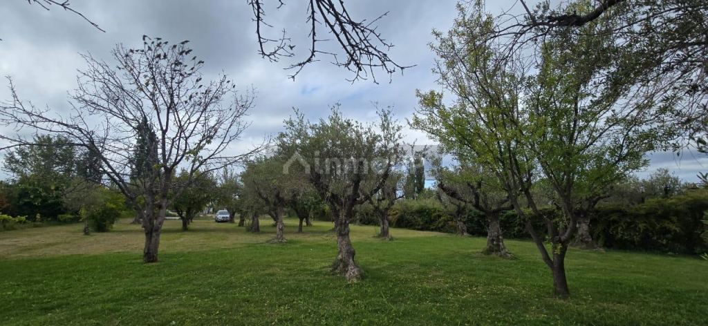 Finca en Venta en Maipu, Mendoza