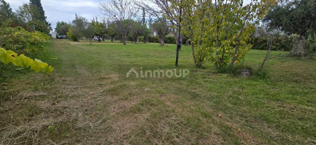 Finca en Venta en Maipu, Mendoza