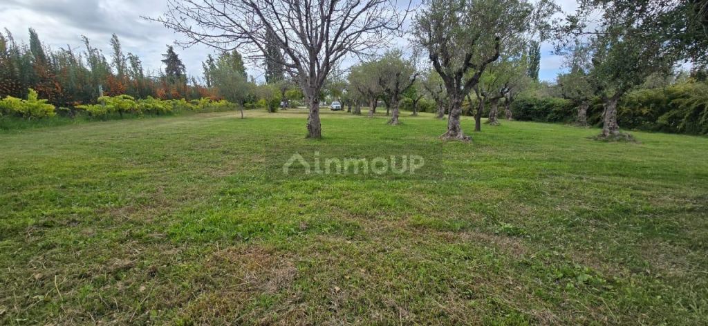 Finca en Venta en Maipu, Mendoza