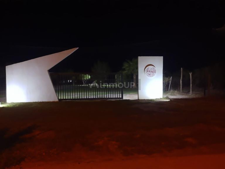 Finca en Venta en Maipu, Mendoza